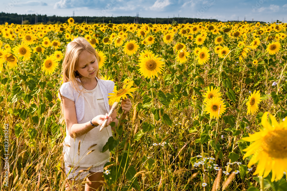 Fototapeta premium girl paints sunflowers in a field
