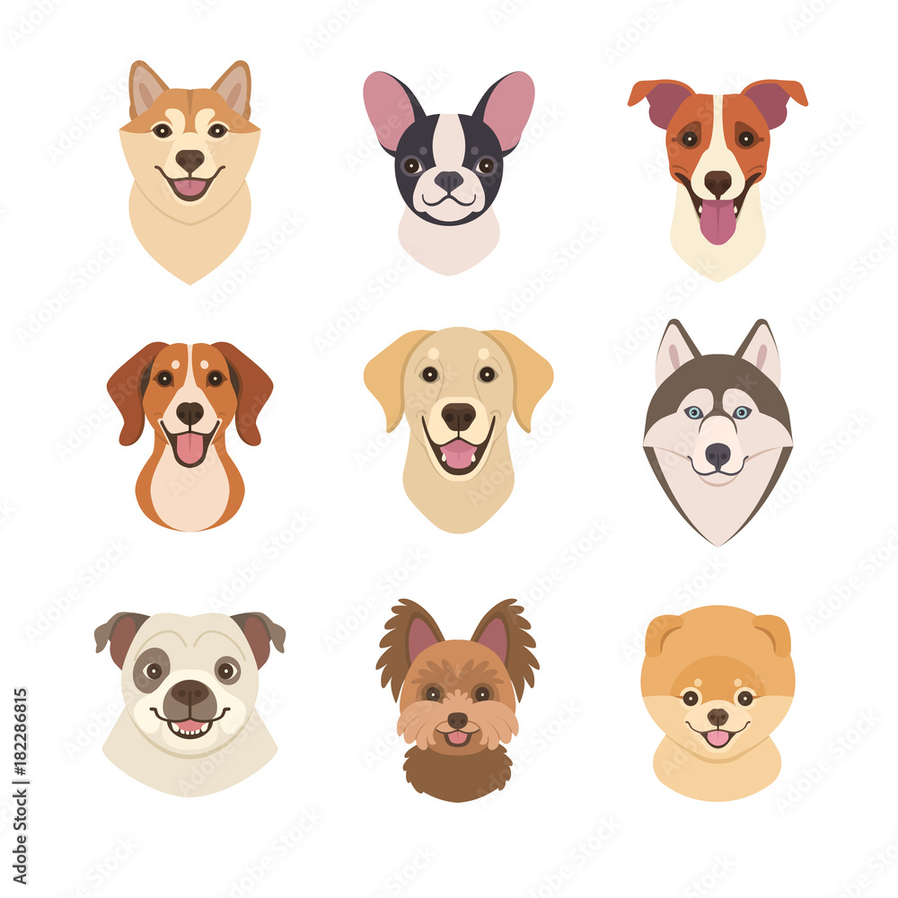 Dogs faces collection. Vector illustration of funny cartoon different breeds dogs in trendy flat style. Isolated on white.