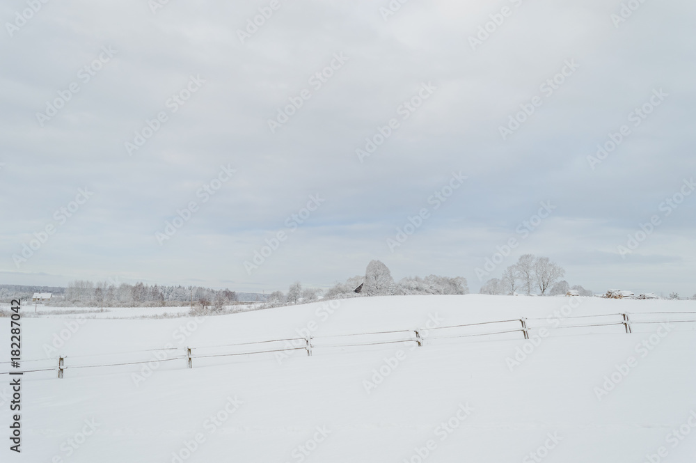 winter rural scene with snow and white fields