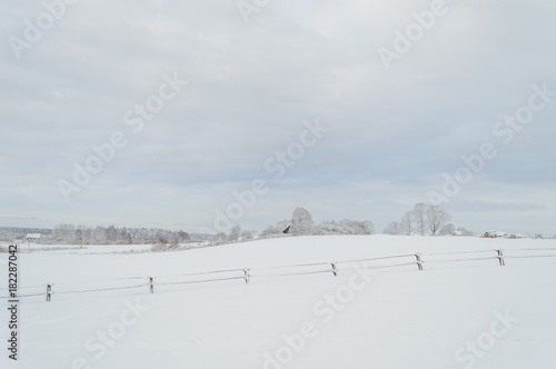 winter rural scene with snow and white fields