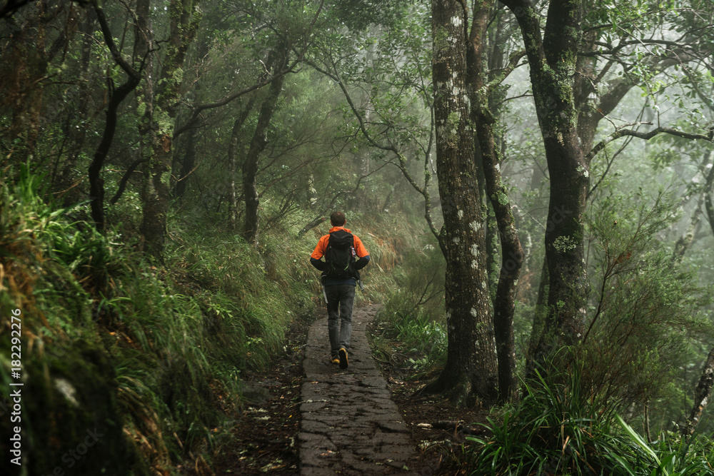 Adult male wandering on a path through the deep rain forest of Madeira, Portugal Adult male wandering on a path through the deep rain forest of Madeira, Portugal