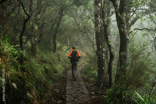 Adult male wandering on a path through the deep rain forest of Madeira, Portugal