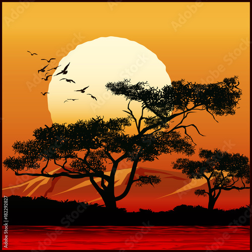 Tree at sunset