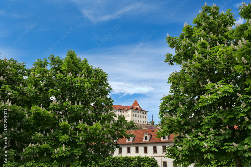 Prague castle