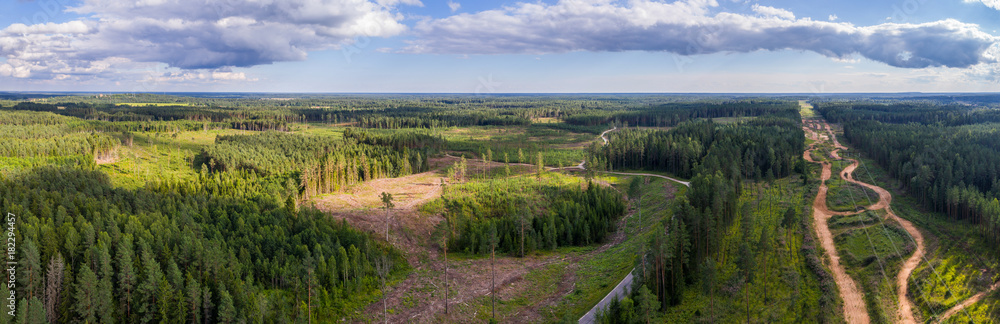 Naklejka premium Aerial shot of forest and deforestation over the hills with trees chopped down. Aerial panorama.