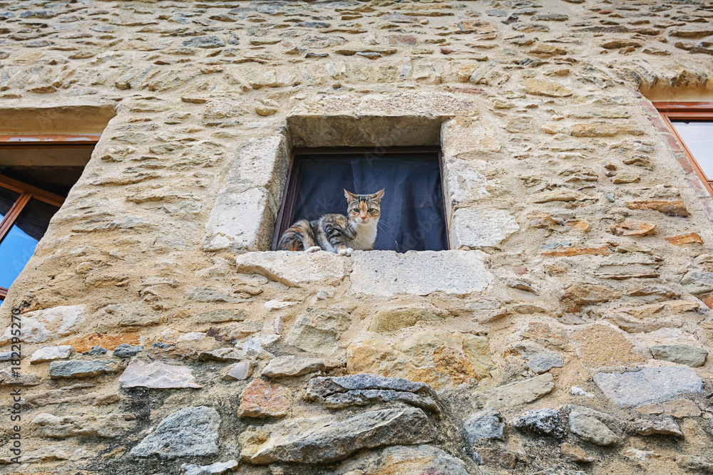 Cat on the windowsill of an old house in the French village of Saint Montan