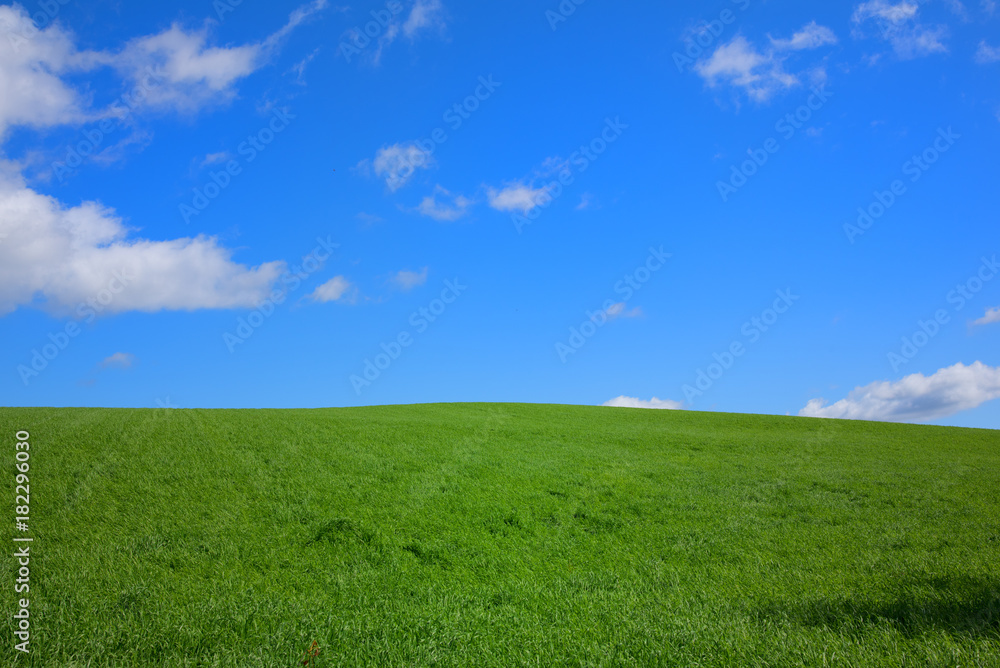 丘の風景　秋景色　美瑛　拓進