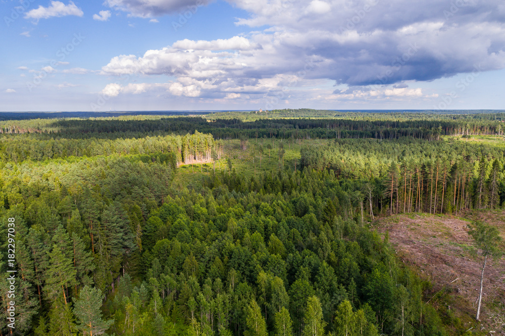 Naklejka premium Aerial shot of forest and deforestation over the hills with trees chopped down.