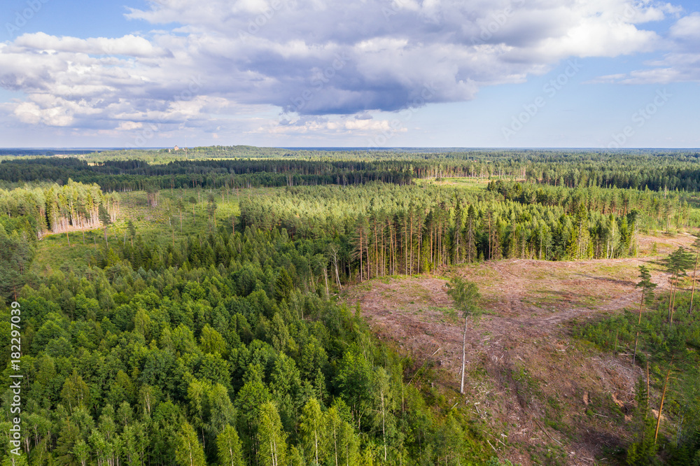 Aerial shot of forest and deforestation over the hills with trees chopped down.