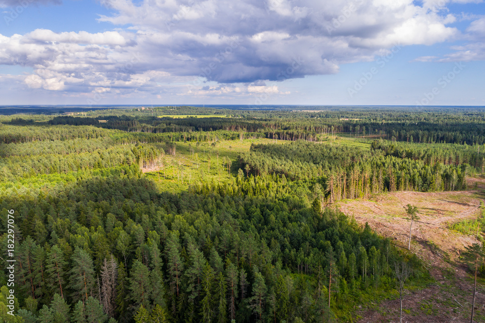 Aerial shot of forest and deforestation over the hills with trees chopped down. Aerial shot of forest and deforestation over the hills with trees chopped down.