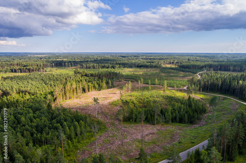 Aerial shot of forest and deforestation over the hills with trees chopped down.