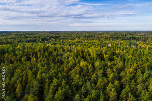 Overhead view of foliage trees  river and road in Western Europe. Aerial photography.