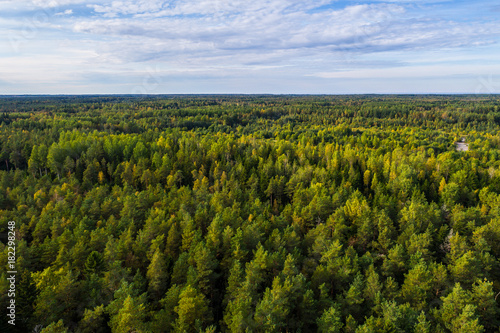Overhead view of foliage trees, river and road in Western Europe. Aerial photography. © nikwaller