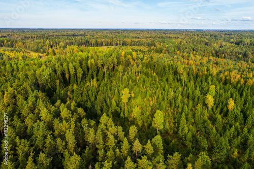 Overhead view of foliage trees, river and road in Western Europe. Aerial photography. © nikwaller