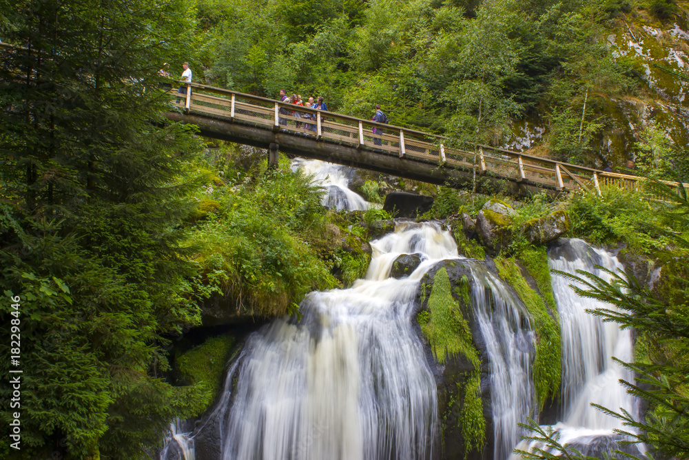 Fototapeta premium Triberg Falls w regionie Schwarzwaldu, Niemcy