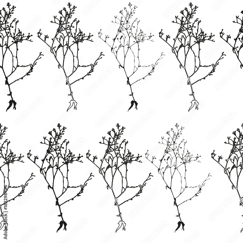 Floral vector seamless pattern with a herbal twig. Floral vector seamless pattern with a herbal twig.