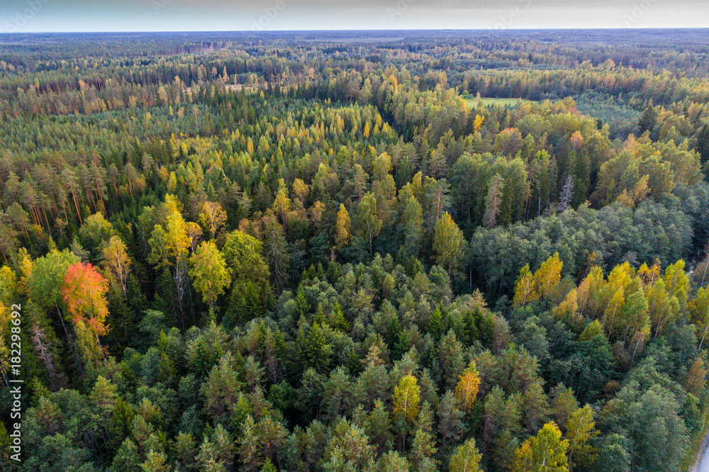 Overhead view of foliage trees, river and road in Western Europe. Aerial photography. Overhead view of foliage trees, river and road in Western Europe. Aerial photography.