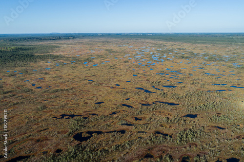 Aerial view of Beautiful lakes in swamp land. Bogs.