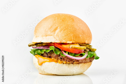 Burger With Beef, Tomato, Cheese, Lettuce and Onion. Close up © igishevamaria