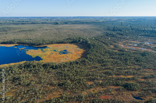 Aerial view of Beautiful lakes in swamp land. Bogs.