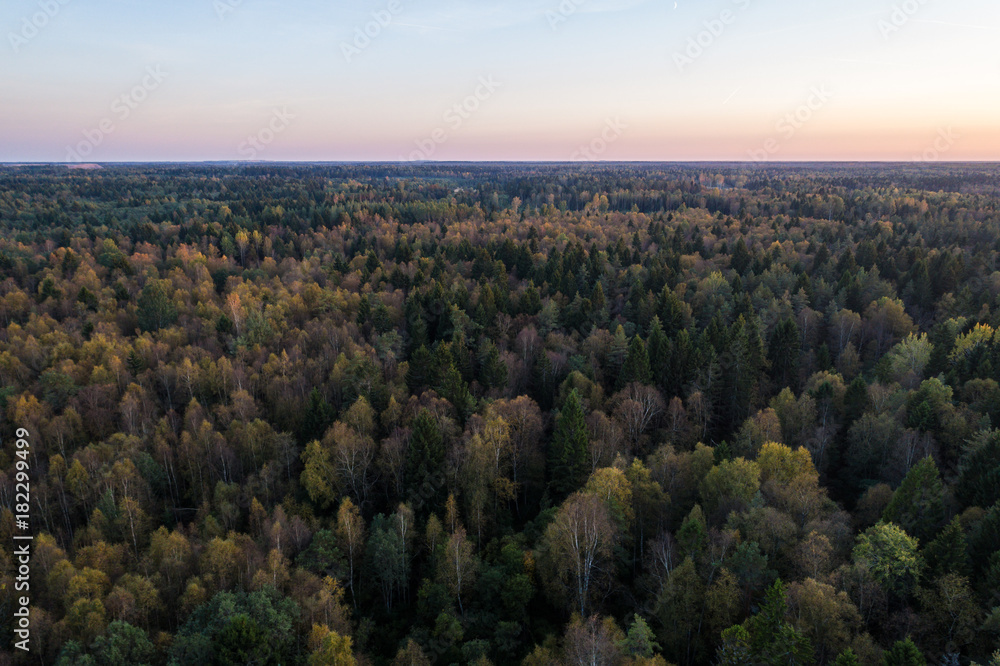 Aerial view of autumn forest in Estonia. Sunset over the forest. Aerial view of autumn forest in Estonia. Sunset over the forest.