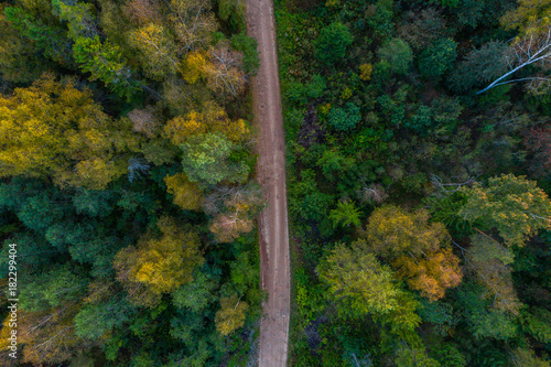 Aerial view of road among autumn forest in Estonia. Sunset. © nikwaller