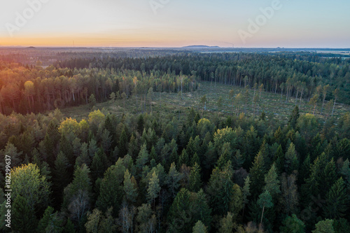 Aerial view of autumn forest in Estonia. Sunset over the forest. © nikwaller