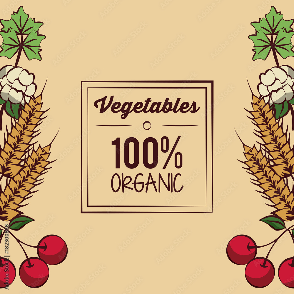 Obraz Fresh Organic vegetables