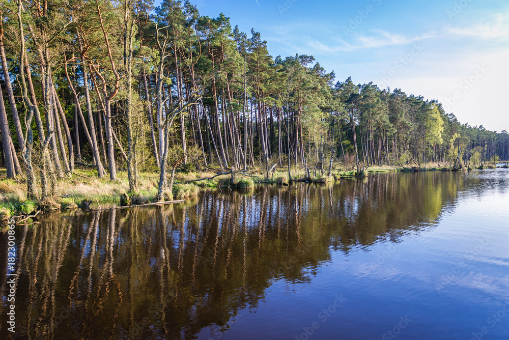Dolgie Male Lake near Baltic Sea coast in Slowinski National Park, Poland Dolgie Male Lake near Baltic Sea coast in Slowinski National Park, Poland