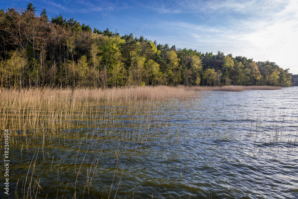 Shore of Dolgie Wielke Lake near Baltic Sea coast in Slowinski National Park, Poland