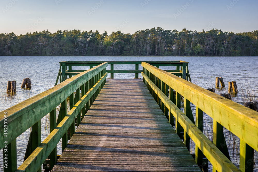 Naklejka premium Wooden platform on Dolgie Wielkie Lake near Baltic Sea coast in Slowinski National Park, Poland