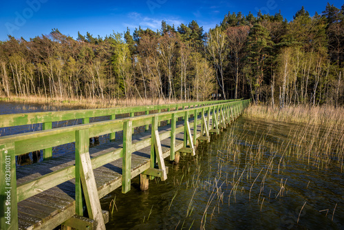Wooden platform on Dolgie Wielkie Lake near Baltic Sea coast in Slowinski National Park, Poland