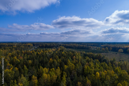 Aerial view of autumn trees. Colorful trees from above.