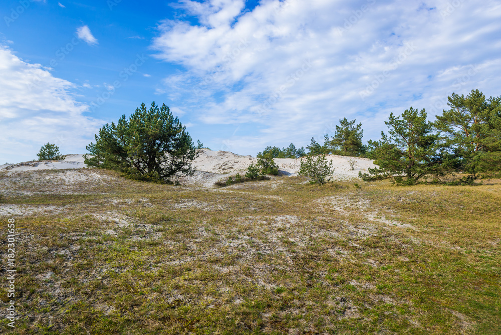 Dunes between Sarbsko Lake and Baltic Sea coast in Poland Dunes between Sarbsko Lake and Baltic Sea coast in Poland