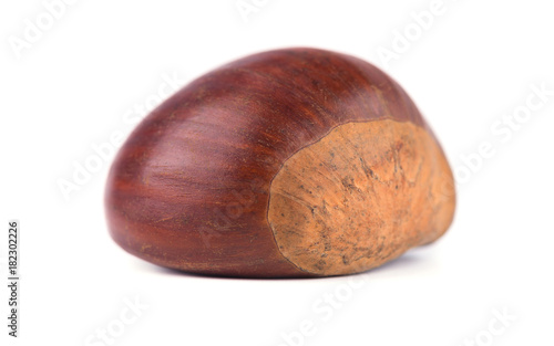 Fresh chestnuts isolated on white background. Hippocastanum isolated. Chestnut with clipping path. Macro