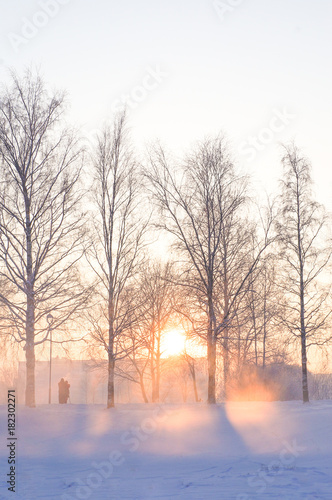 Winter beautiful landscape with the sun, frost and fog.   © sablinstanislav
