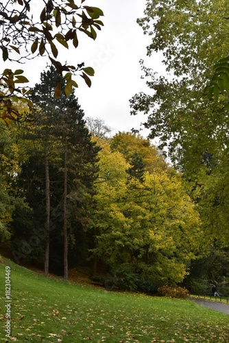 Deux sapins imbriqués parmi les feuillage dorées des autres arbres au parc Josaphat à Schaerbeek