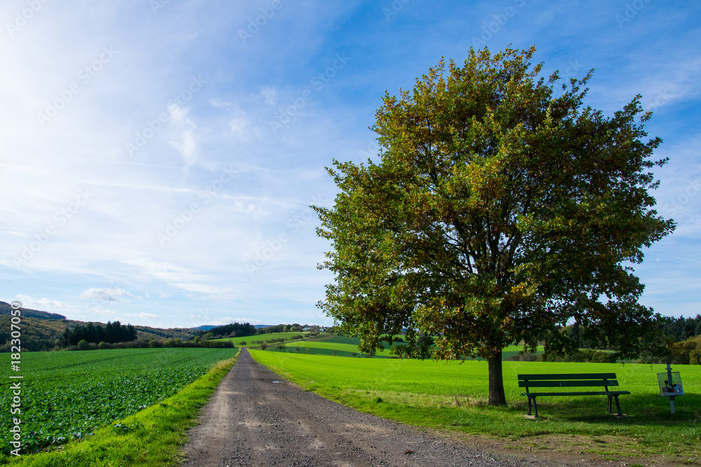 Landscape in autumn Landscape in autumn