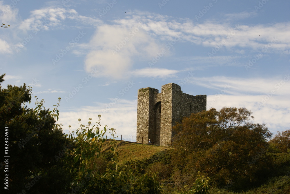 Ruine Ruine