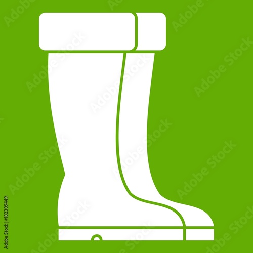 Winter shoes icon green