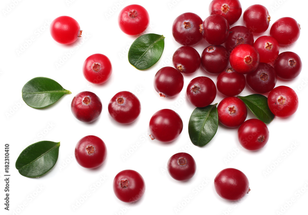 Cranberry with leaves isolated on white. With clipping path. Full depth of field Cranberry with leaves isolated on white. With clipping path. Full depth of field