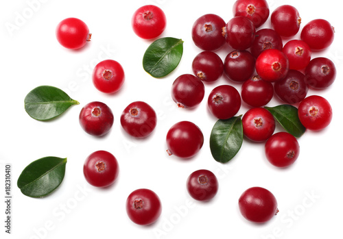Cranberry with leaves isolated on white. With clipping path. Full depth of field