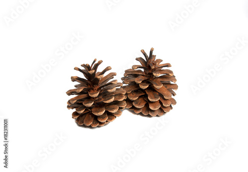 Cone isolated on the white background