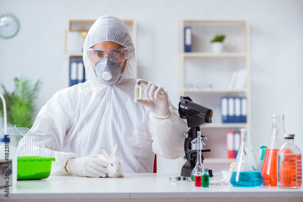 Scientist doing animal experiment in lab with rabbit Scientist doing animal experiment in lab with rabbit