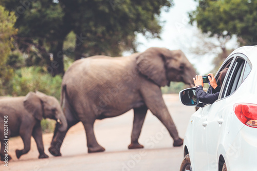 Crossing the road