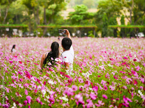 a couple of tourist  are taking a photo themself  (selfie) with smartphone in the beautiful cosmos flower field.