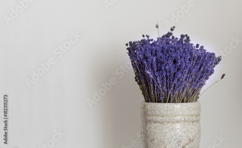jar of lavnder with a white background
