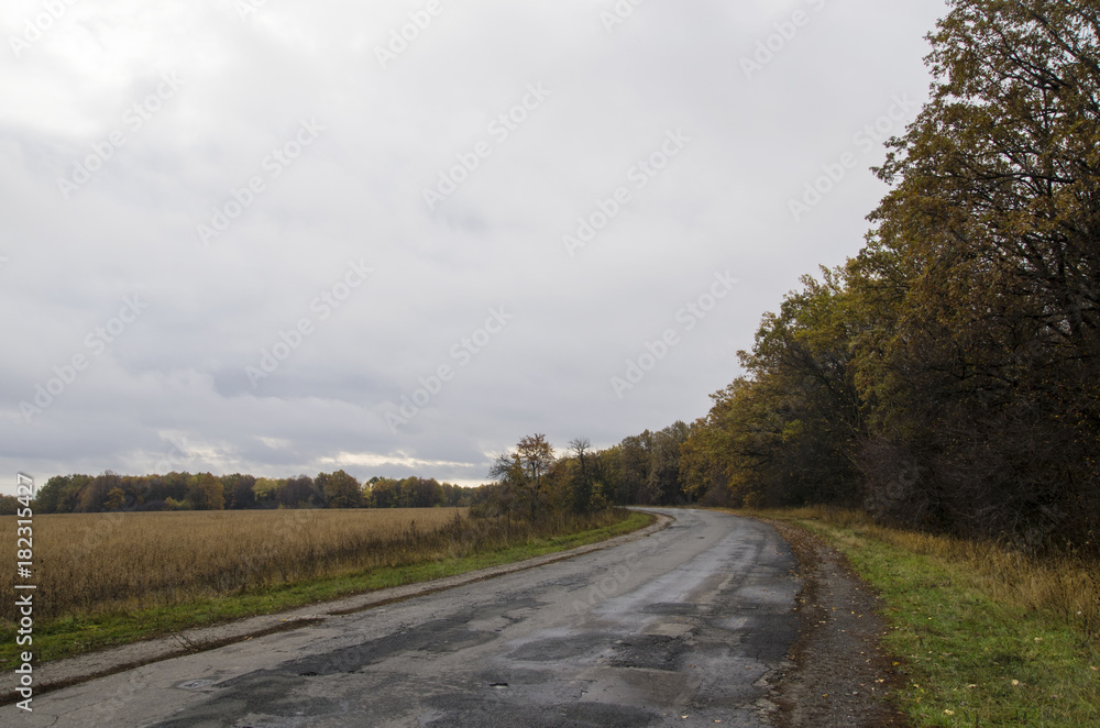 Turning the road in a dull autumn landscape