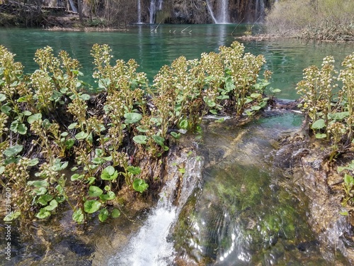 Lac de Plitvice