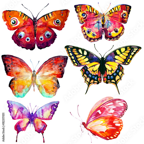 beautiful color butterflies,set, isolated  on a white, watercolor,art © aboard